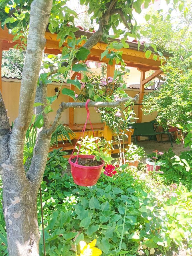 Kiki - Family Apartment Primorsko Luaran gambar